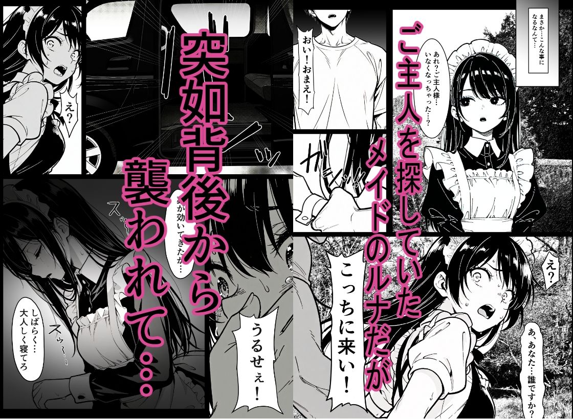 監禁メイド 画像1