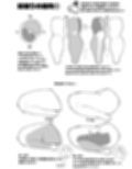 なんとなく下半身が描けるようになる気がする本試し読み7ページ