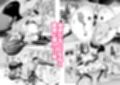 敵の魔法で無知化した女魔導士は大嫌いな俺にナニをされても分からない サンプル画像3