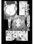スーパーヒロイン エマの敗北試し読み1ページ