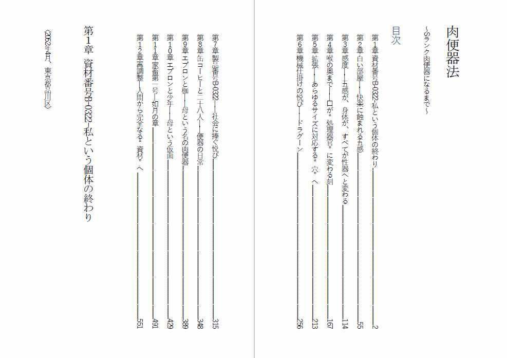 肉便器法〜Sランク肉便器になるまで〜 画像1