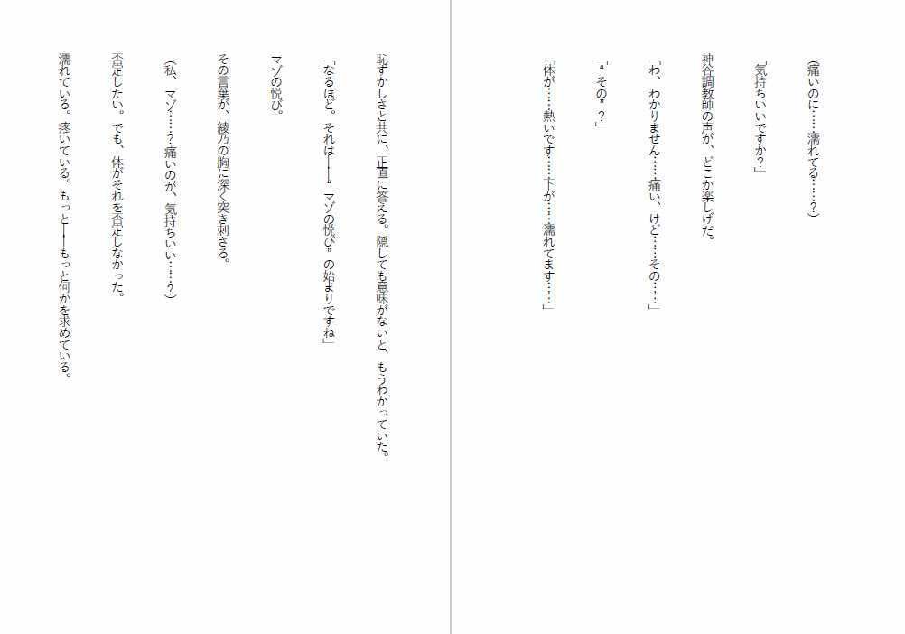 肉便器法〜Sランク肉便器になるまで〜 画像3