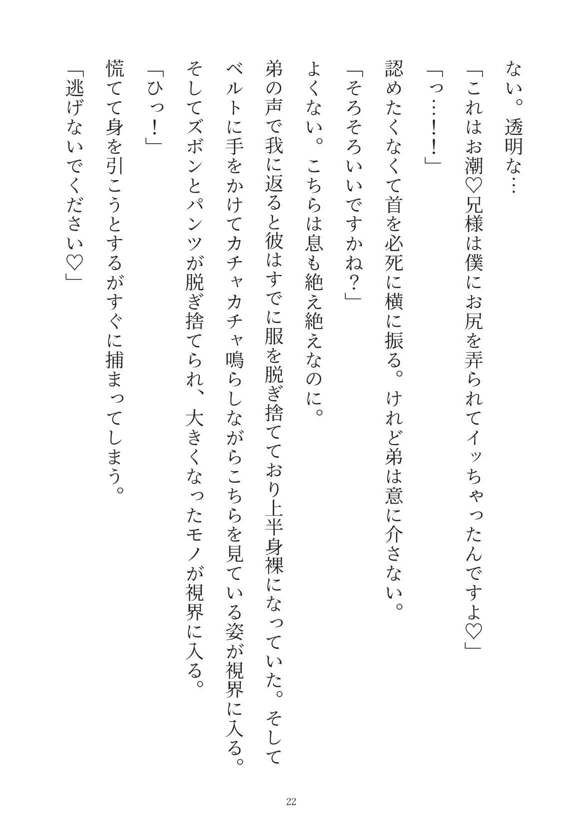 婚約破棄したらヤンデレ弟に囲われることになった話 画像7