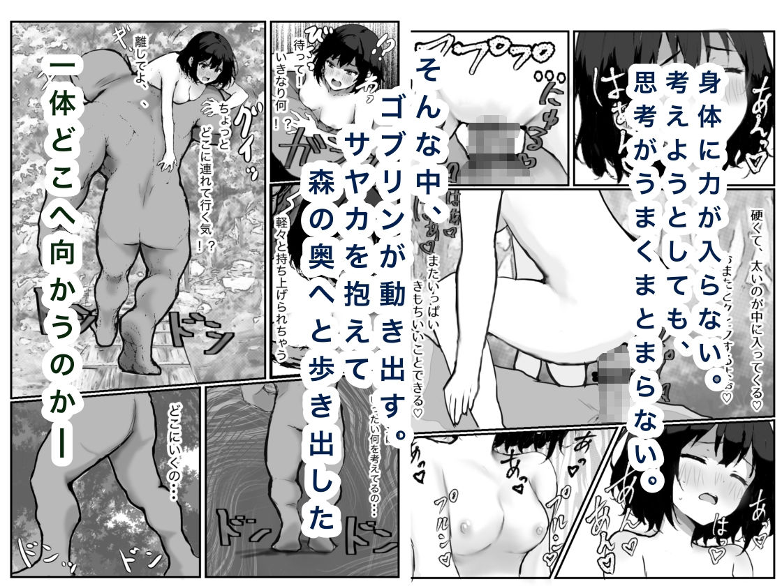 女騎士敗北録〜ゴブリンの森〜2の作品画像 7