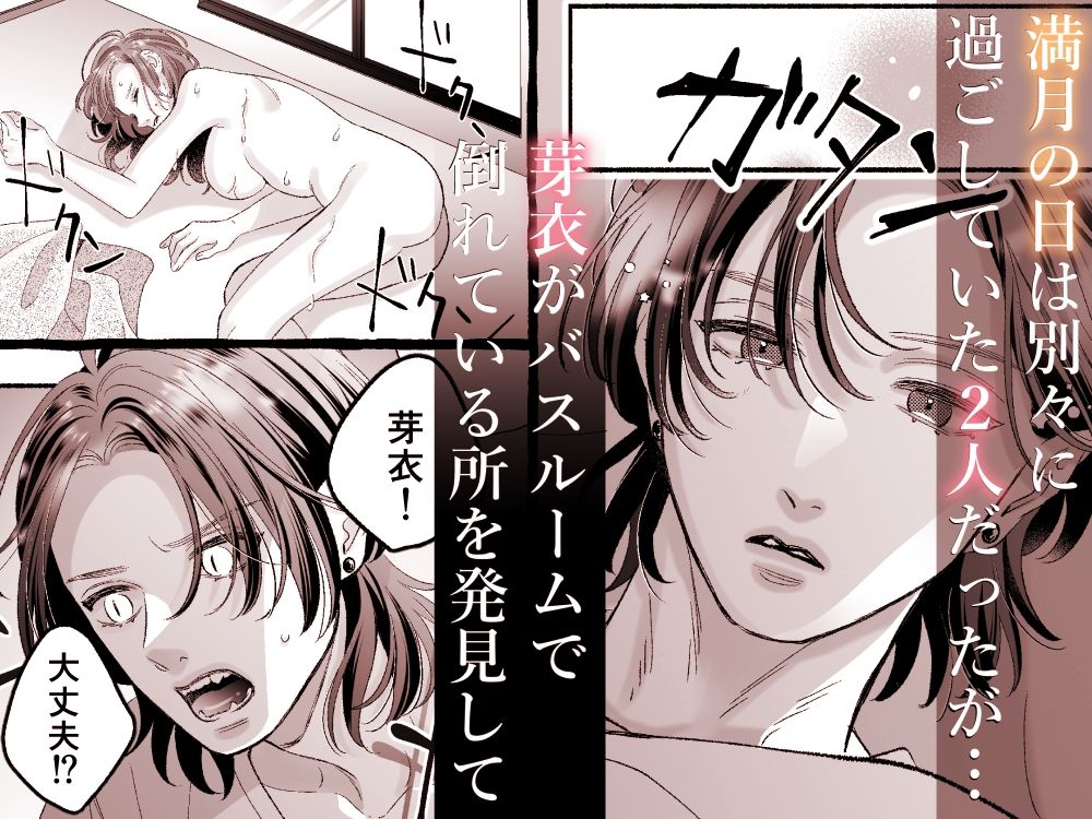 サンプル 5