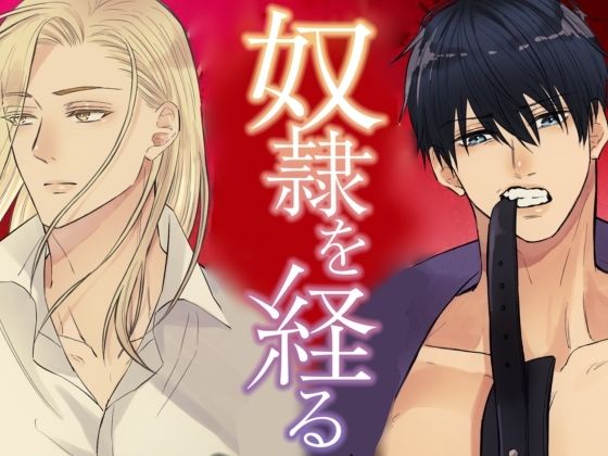 奴●を経る番外編の表紙