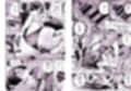 FGO総集編試し読み2ページ