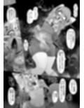 くねくね サンプル画像6