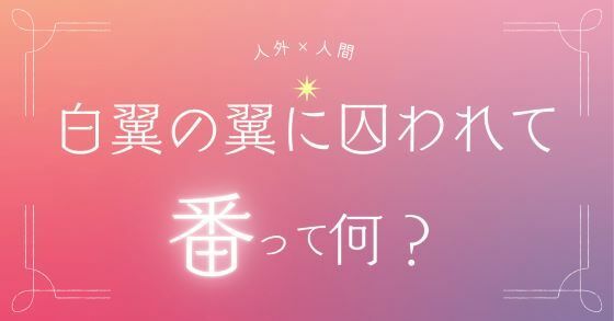 白翼の番に囚われてのタイトル画像