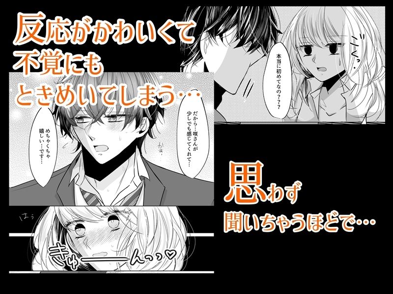 サンプル画像