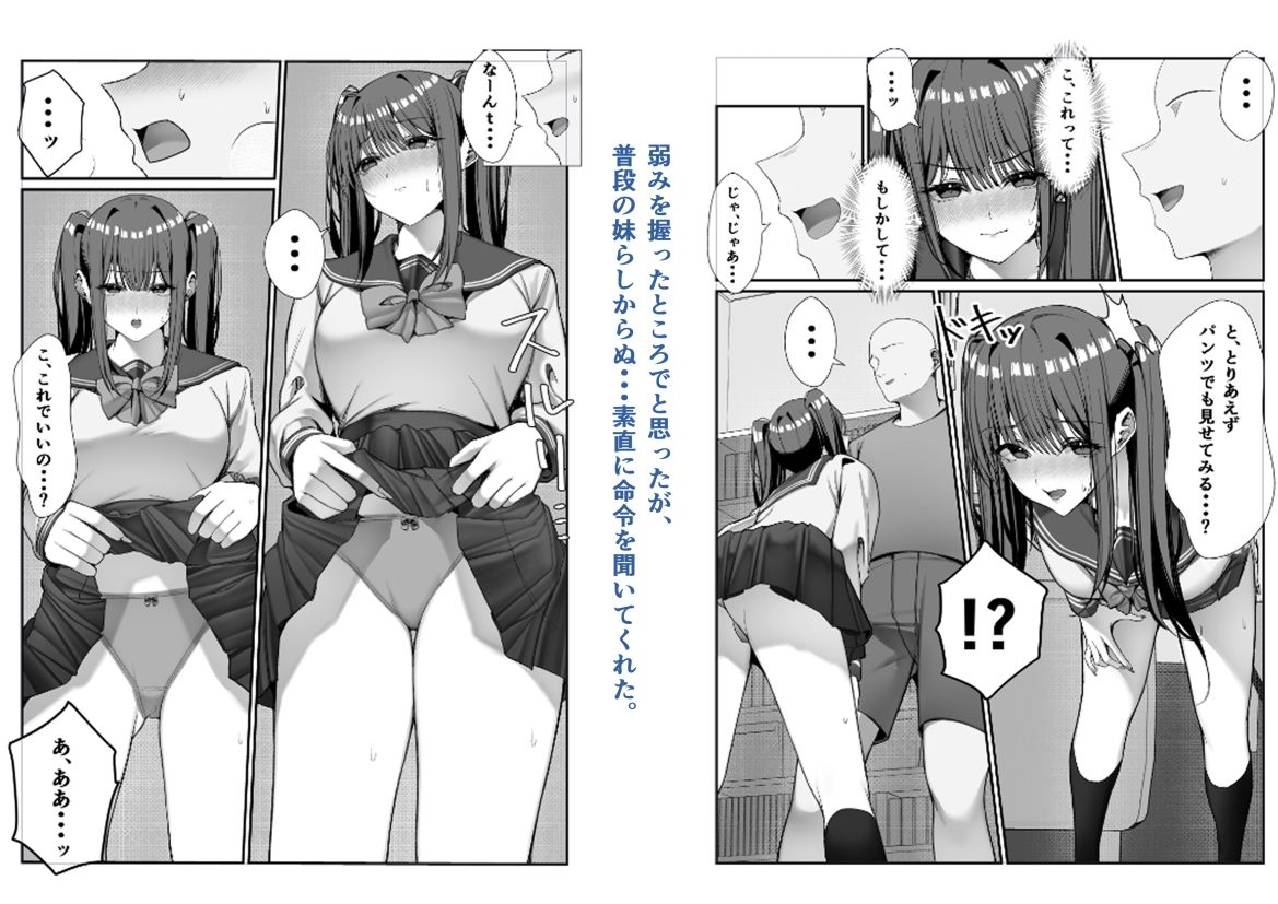 生意気な妹とセックスする話 画像5