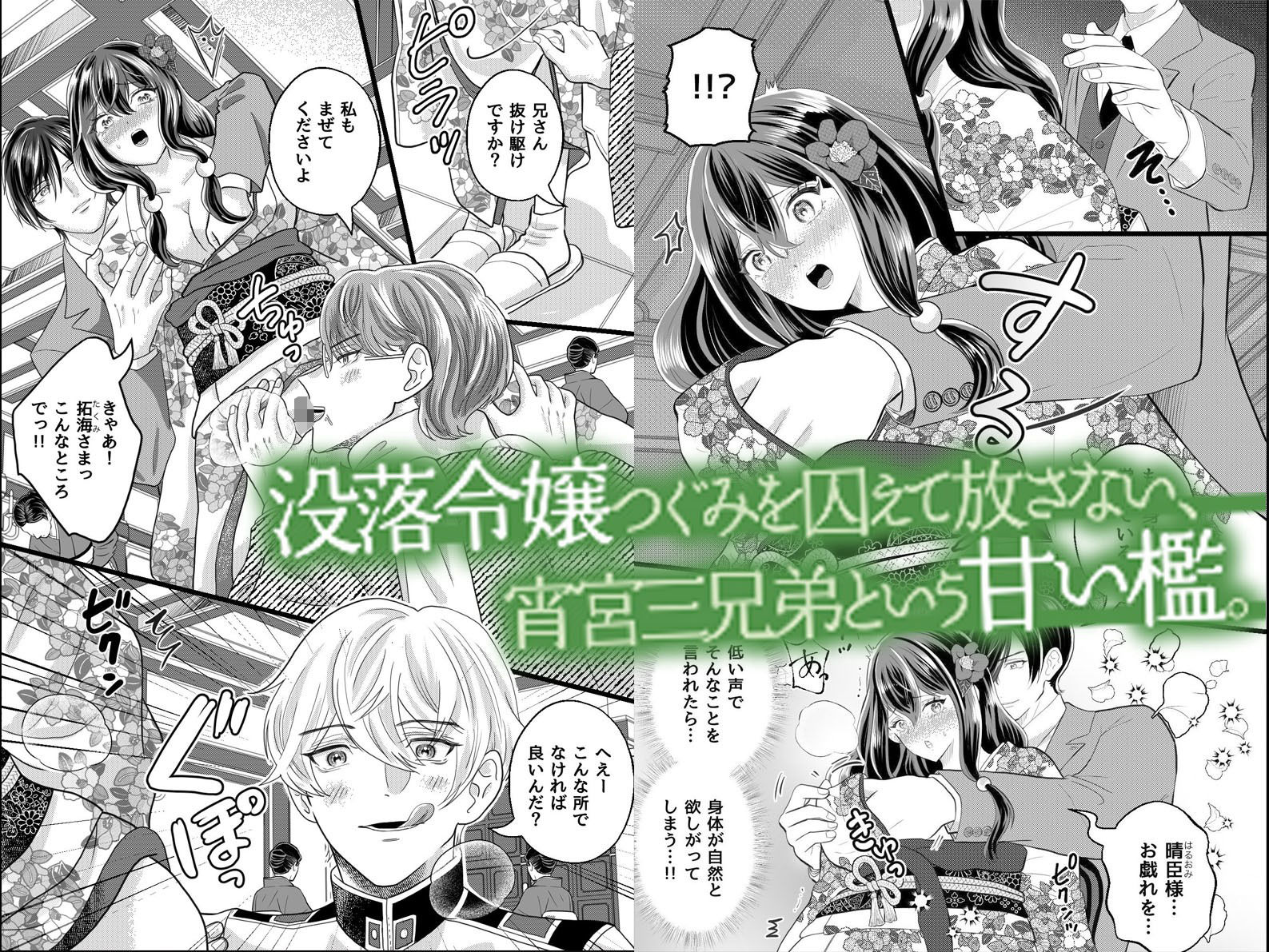 【三兄弟×寸止め三穴】没落令嬢の私が宵宮家の籠の中で毎日三穴調教されイカされ続ける話 サンプル1