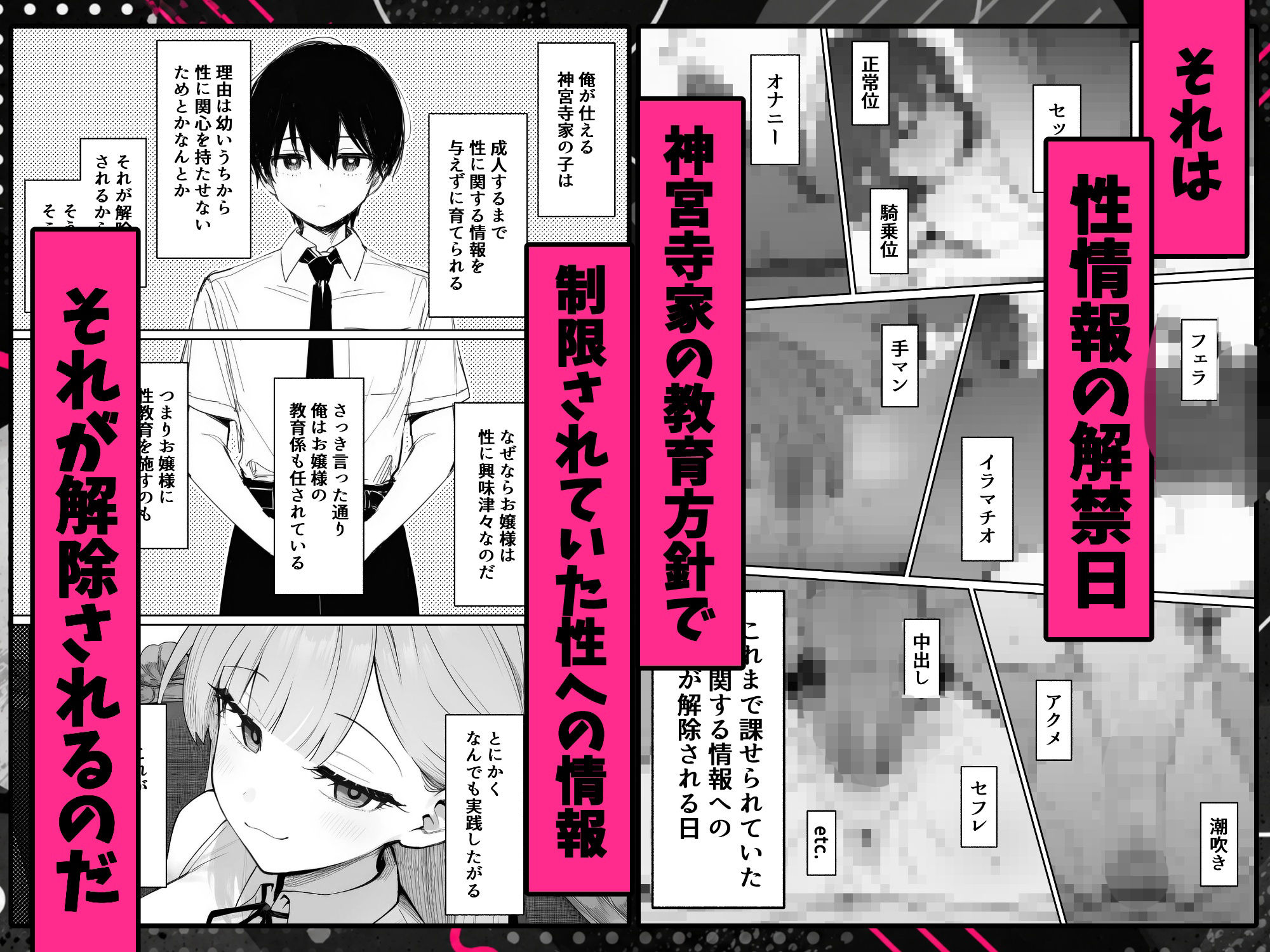 お嬢様はセックスをご所望です 画像2