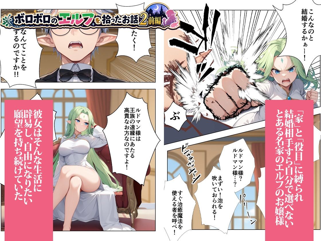ボロボロのエルフを拾ったお話総集編 画像4