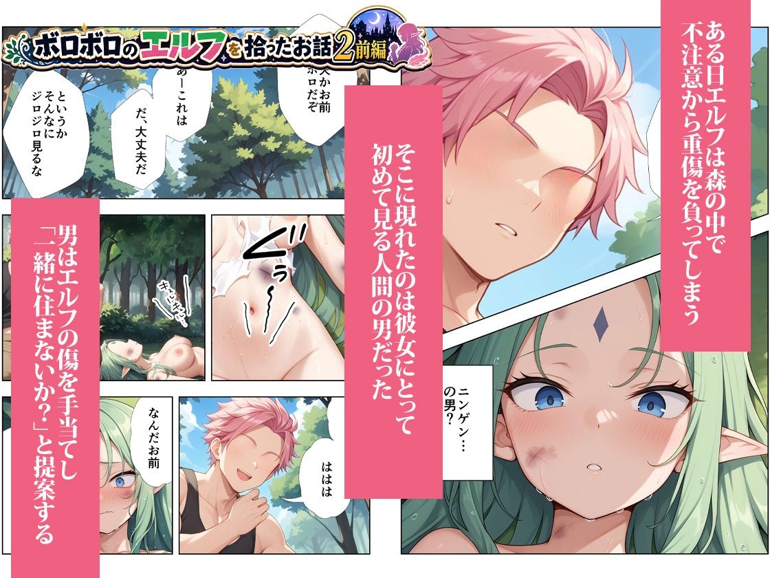 ボロボロのエルフを拾ったお話総集編 画像5
