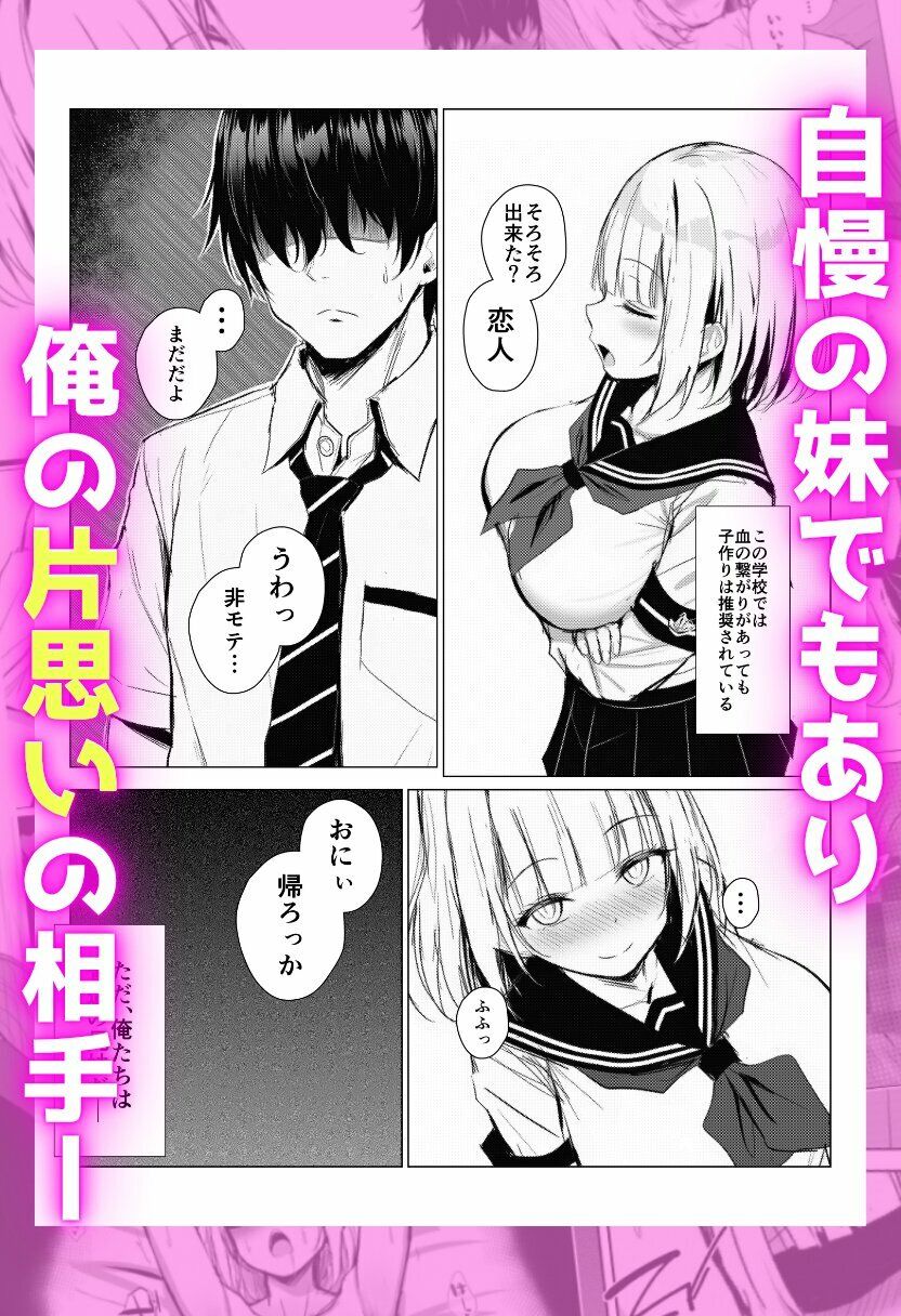サンプル 3