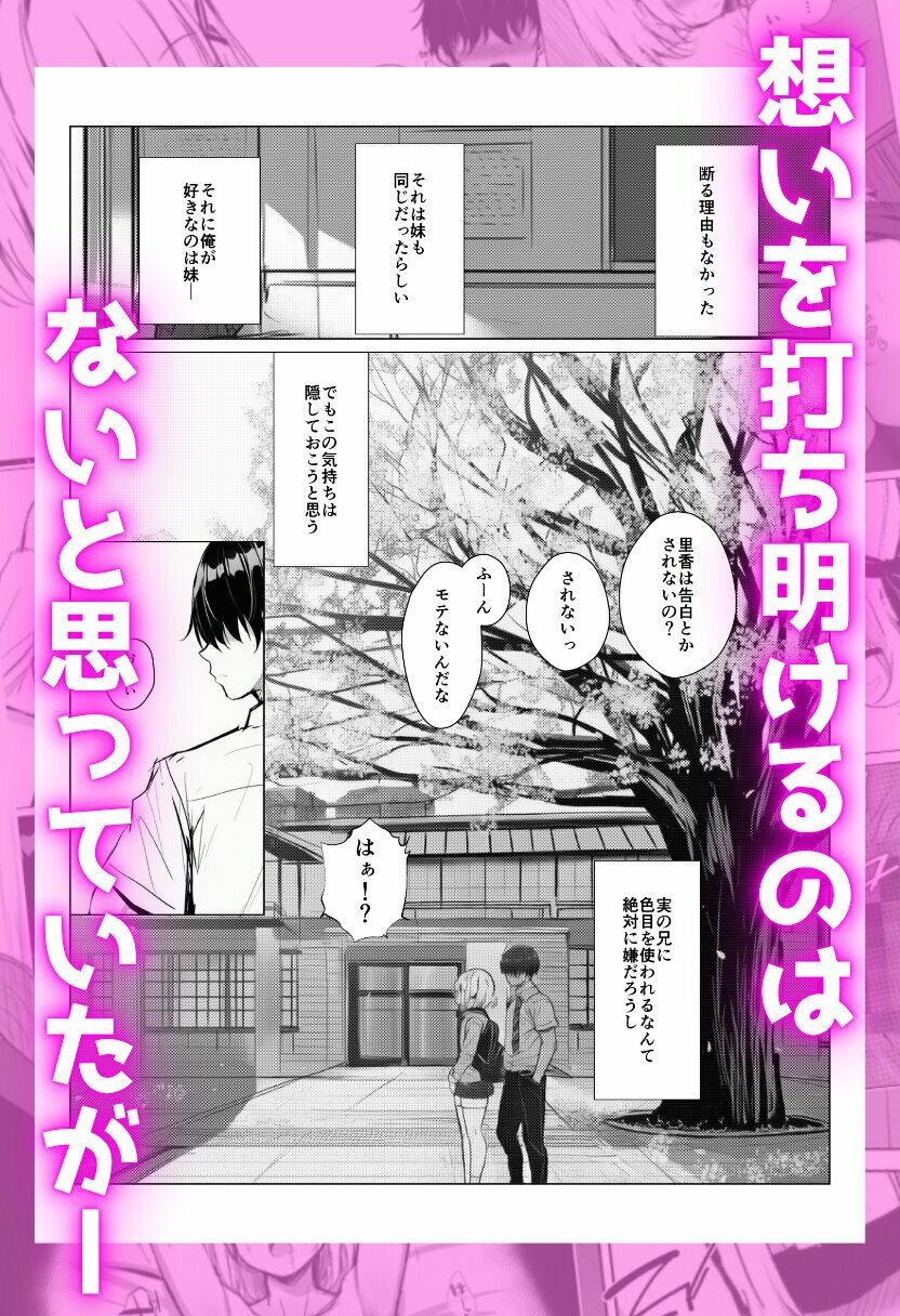サンプル 5