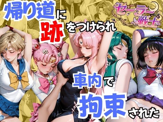 セーラー戦士が帰り道に跡をつけられ車内で拘束NTRされた話し2