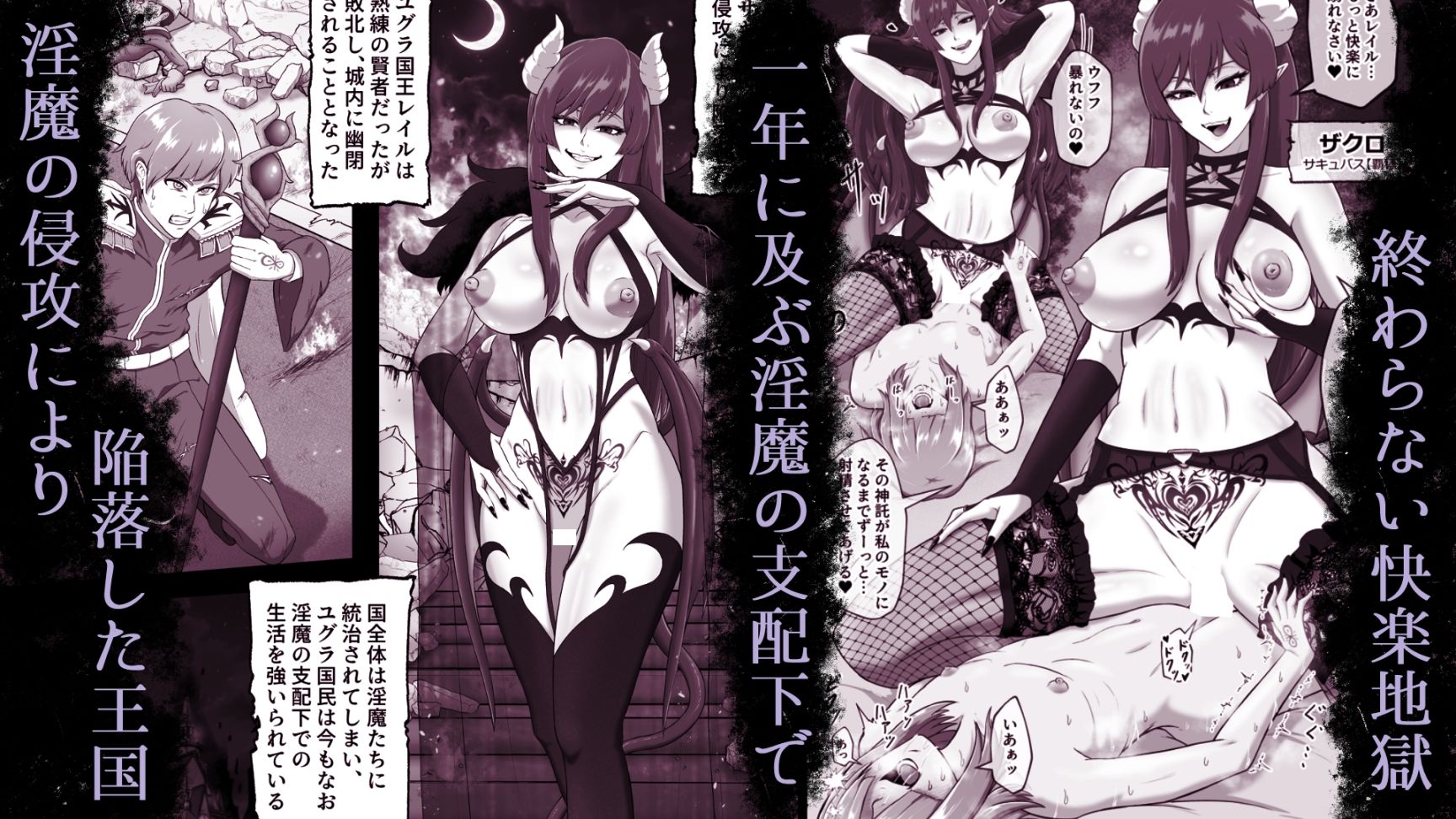 サキュバス城攻略 (1)淫魔に支配された王国 画像1