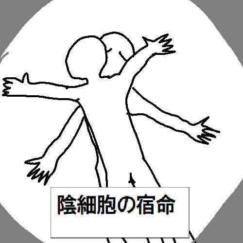 サンプルページ 4