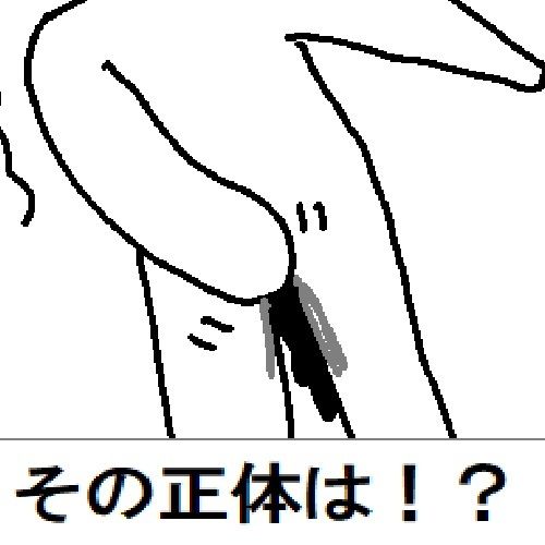 サンプルページ 8