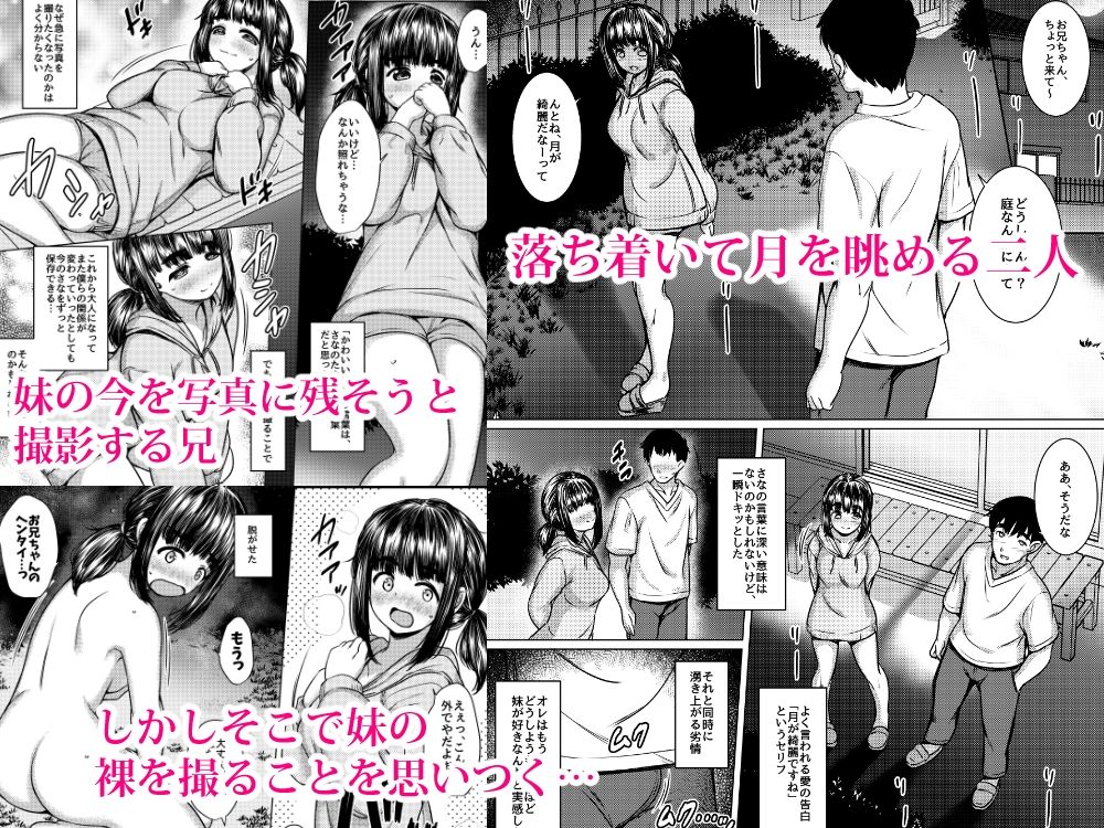 サンプルページ 9