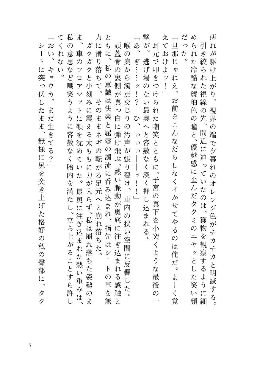 サンプルページ 5