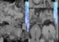 BUNNY SLAVE試し読み2ページ