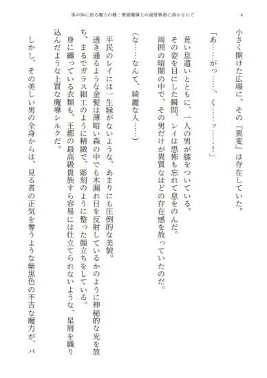 男の体に宿る魔力の種:筆頭魔導士の溺愛執着に溶かされてのサンプル画像3