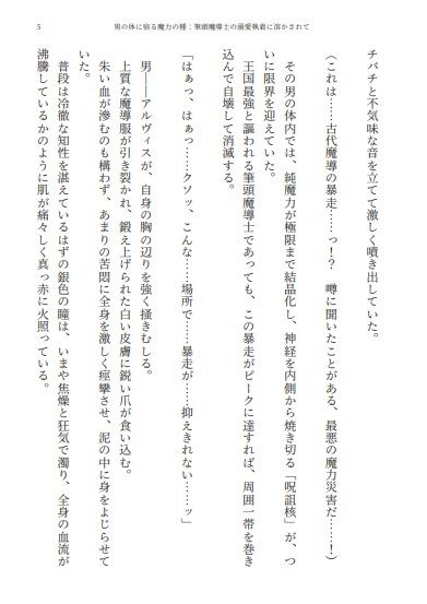 男の体に宿る魔力の種:筆頭魔導士の溺愛執着に溶かされてのサンプル画像4