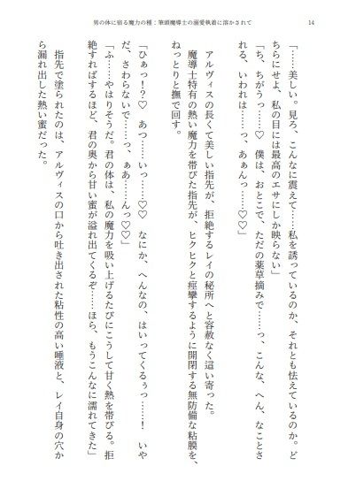 男の体に宿る魔力の種:筆頭魔導士の溺愛執着に溶かされてのサンプル画像6