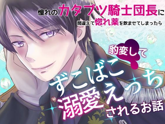 憧れのカタブツ騎士団長に間違えて惚れ薬を●ませてしまったら豹変してずこばこ溺愛えっちされるお話
