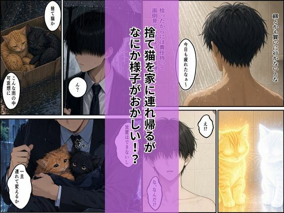 拾った子猫たちがえっちな化け猫で毎日ヤりたい放題2