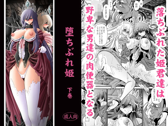 堕ちぶれ姫  下巻