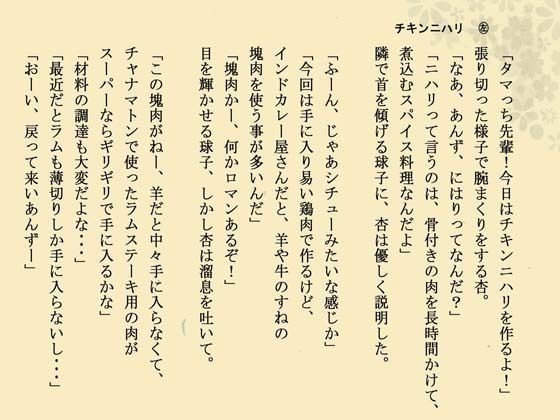 インドカレー伊予島のお手軽レシピ帖 三の章 画像2