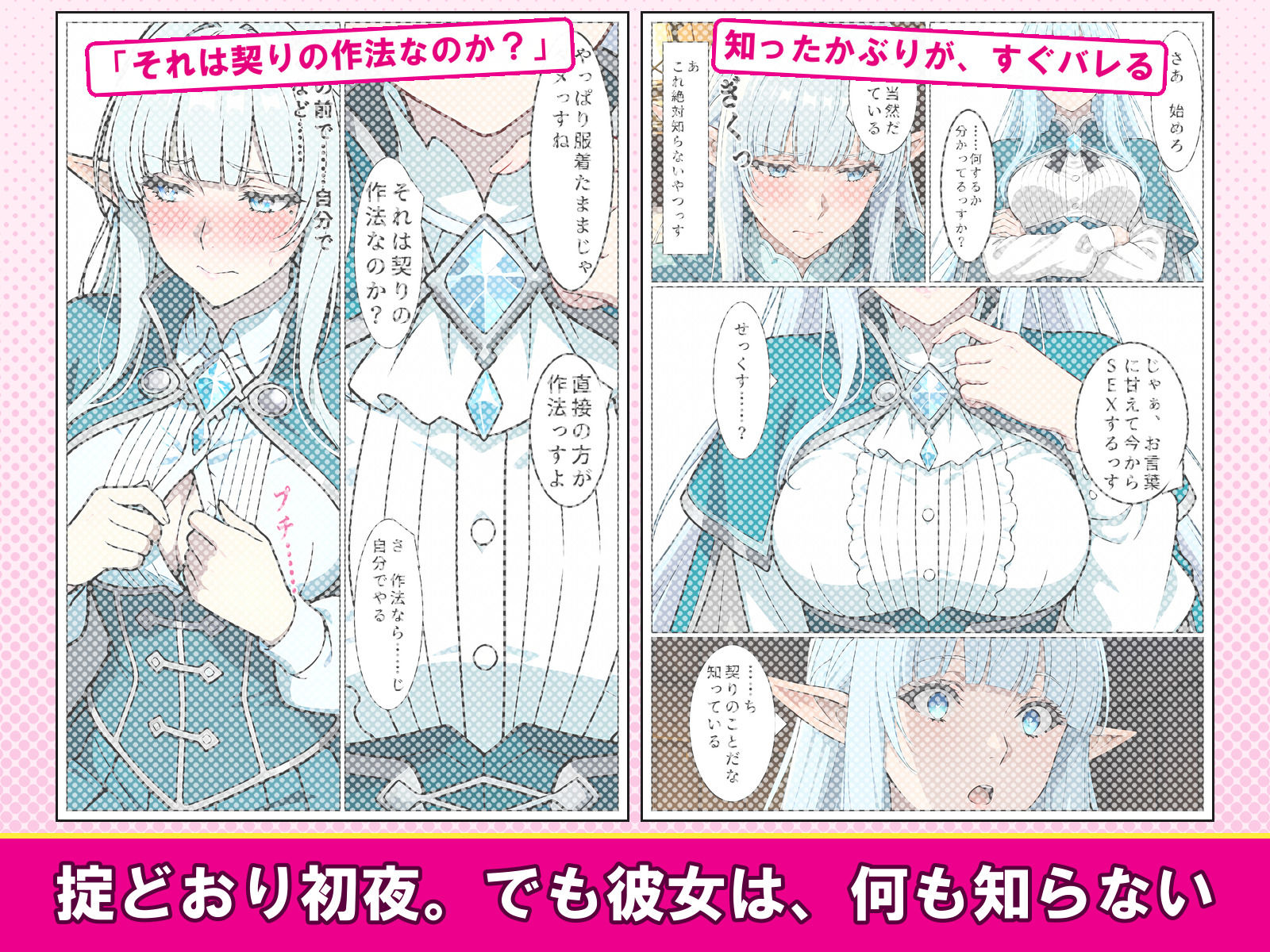 堅物エルフの胸に触れたら、掟で夫になって初夜を教えることになった件 画像2