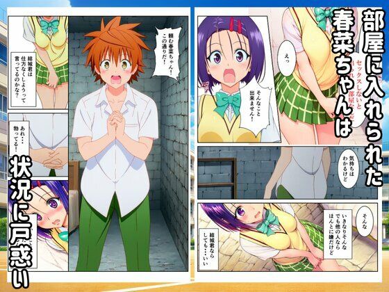 【To LOVEる】セックスしないと出られない部屋でハーレム計画！ 画像5