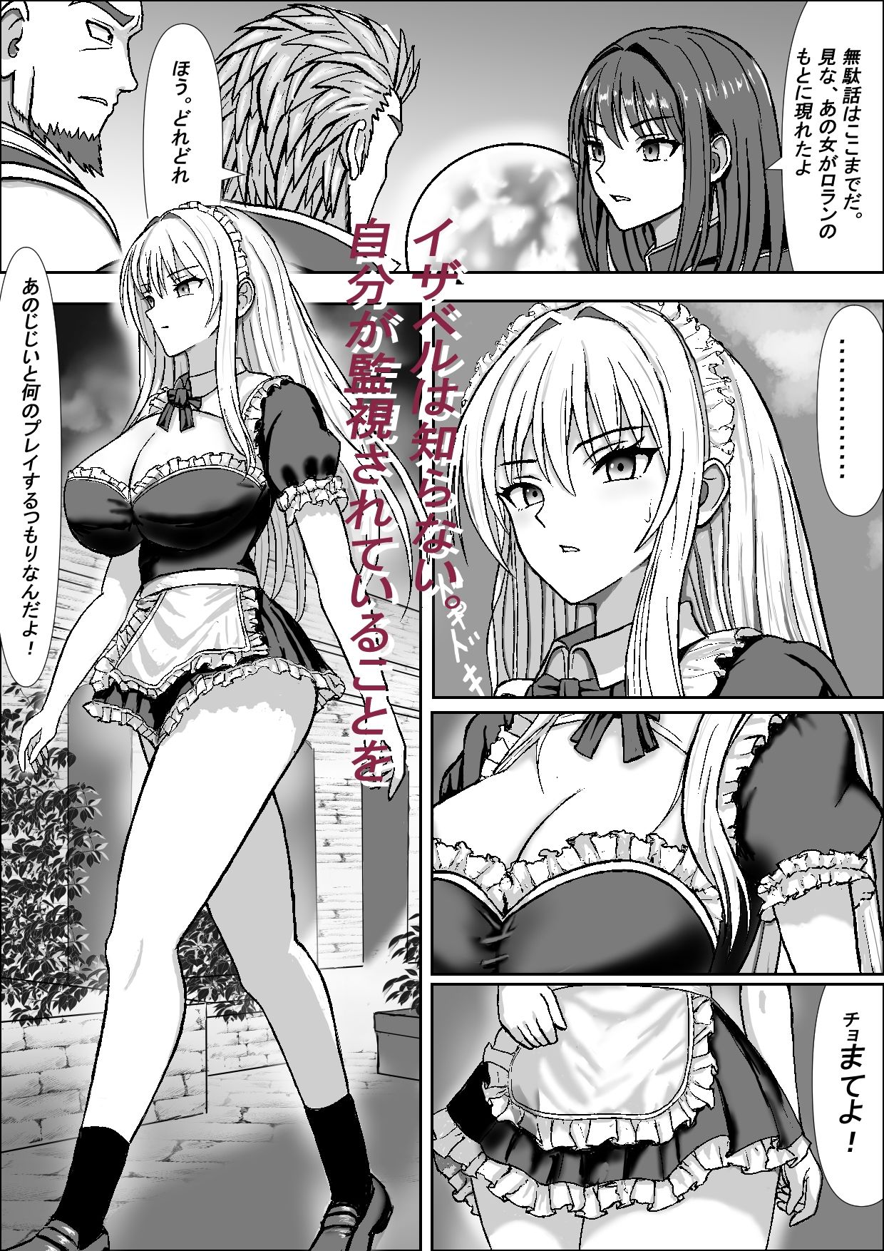 高貴な女騎士イザベルの暴かれる夜 画像5