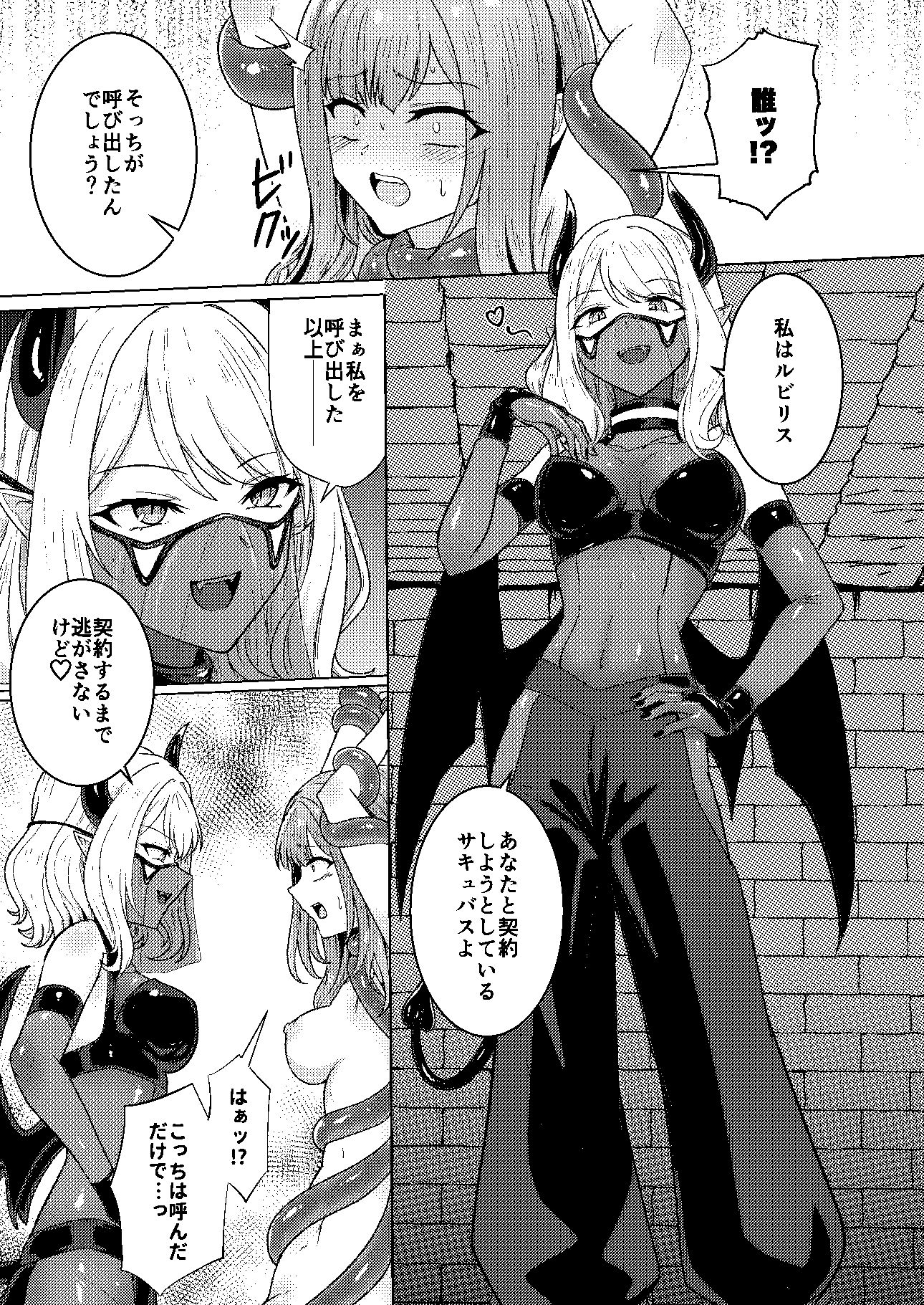 サキュバス・コントラクト 画像2