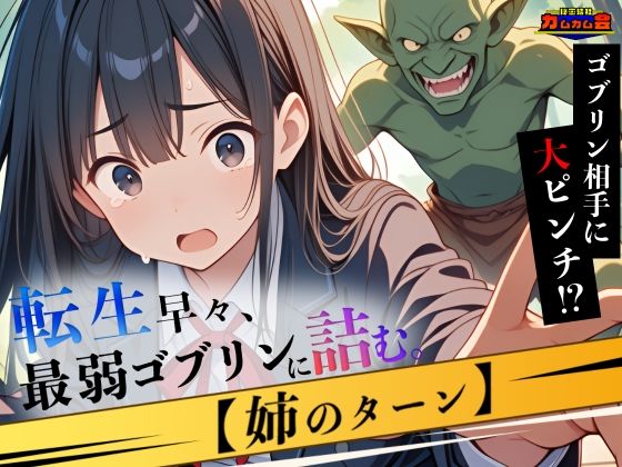 転生早々、最弱ゴブリンに詰む。【姉のターン】