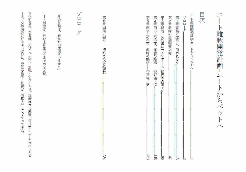 ニート雌豚開発計画-ニートからペットへ 画像2