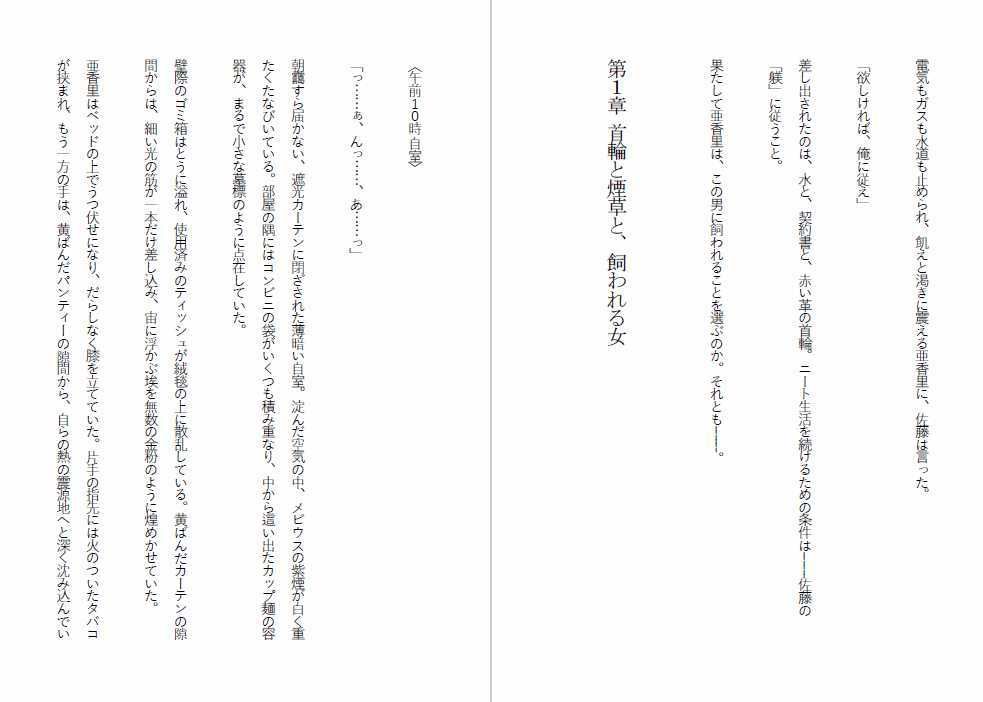 ニート雌豚開発計画-ニートからペットへ 画像3