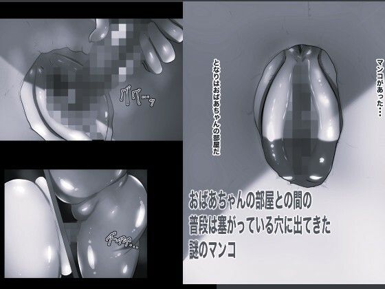 壁マンコ おばあちゃんと孫のガチ小作りセックス5 モノクロ版 サンプル画像1
