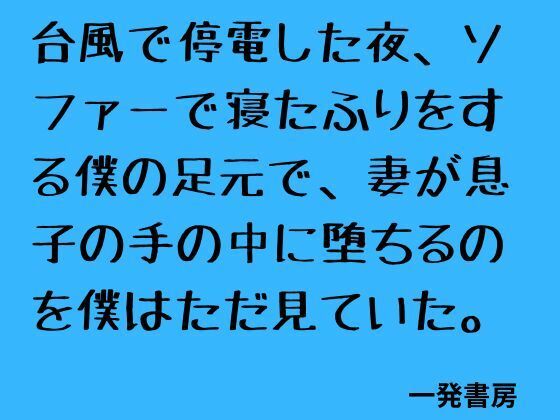 台風で停電した夜、ソファーで寝たふりをする僕の足元で、妻が息子の手の中に堕ちるのを僕はただ見ていた。 画像1