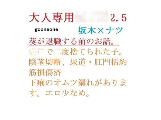 大人専用●●●2.5