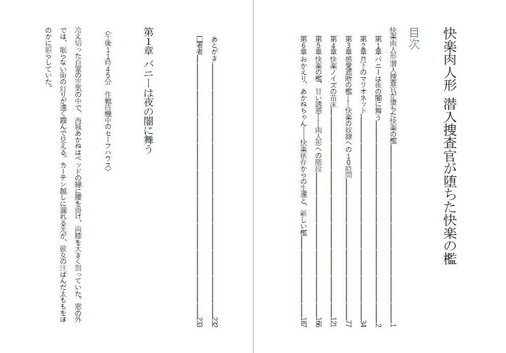 快楽肉人形 潜入捜査官が堕ちた快楽の檻 感覚遮断調教・エリートエージェントの末路