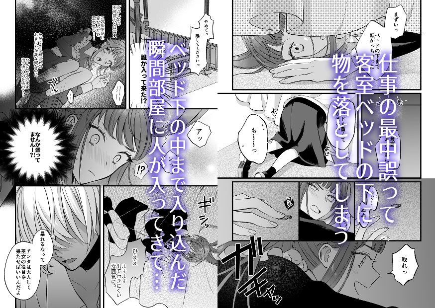 巫女のおまけは異世界で執着される 画像3