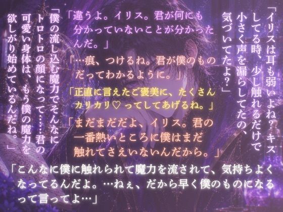 魔力を消すだけの転生地味女ですが、身を引こうとしたら、天才イケメン魔法使い様の閉じ込め溺愛えっちから逃げられなくなりましたのサンプル画像1