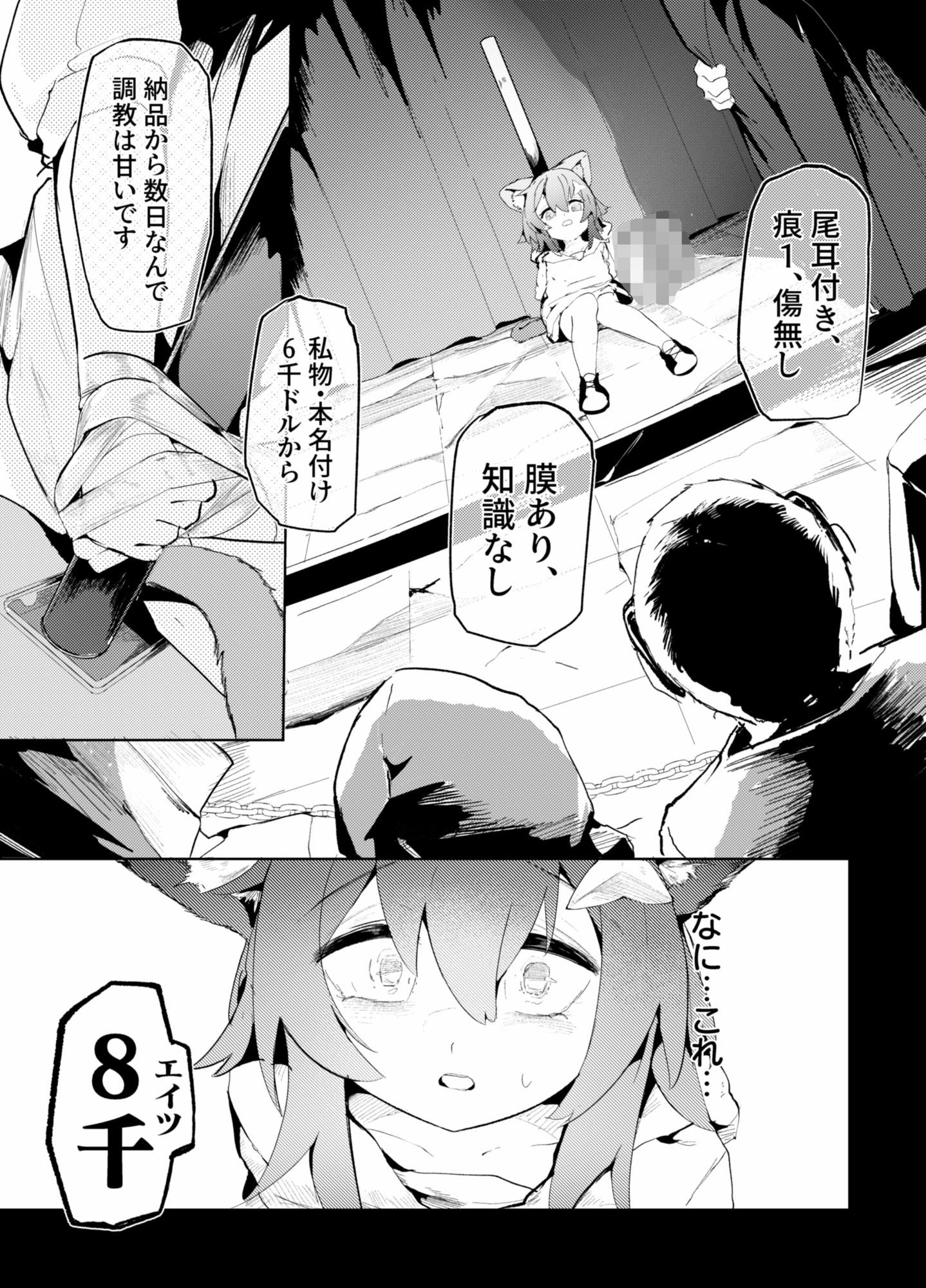 猫の足跡、貴値の子 画像5