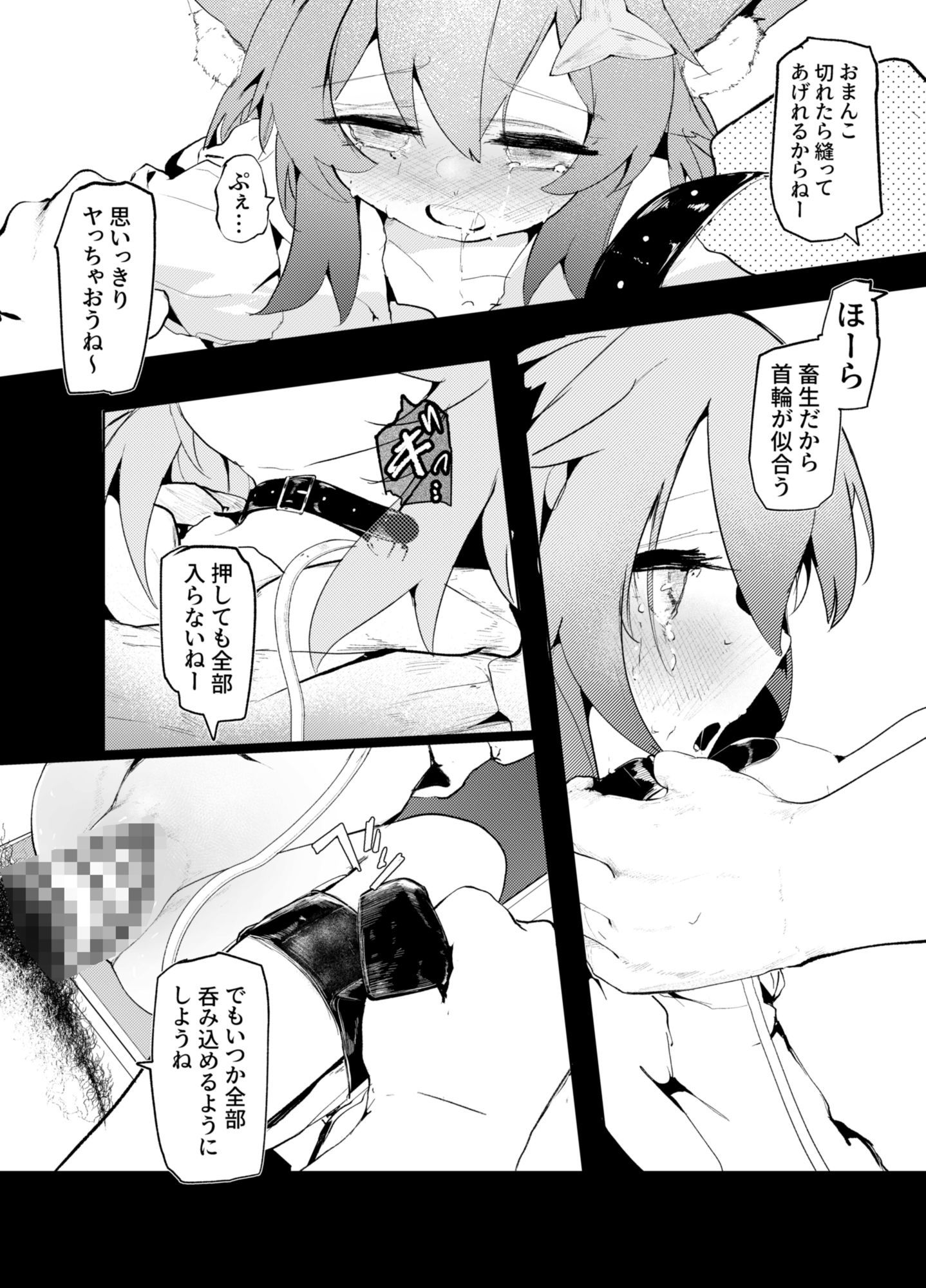 猫の足跡、貴値の子 画像8